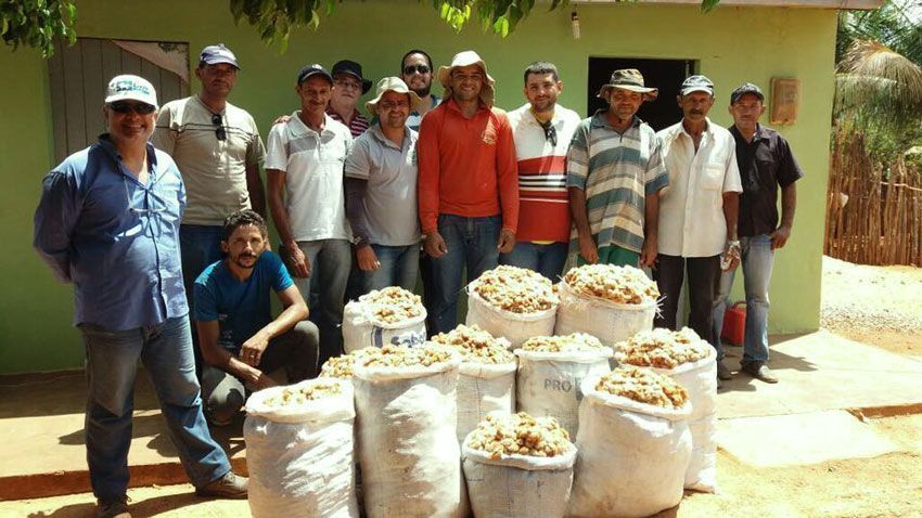 Santi Mallorquí en Brasil con agricultores de Organic Cotton Colours