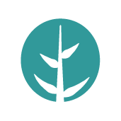 Icono de vegetación del logo de La Ecocosmopolita para conferencias y charlas en sostenibilidad con Yve Ramírez